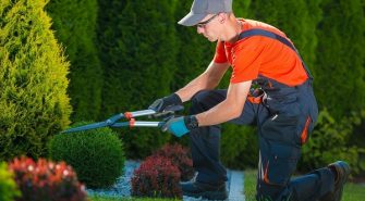 Issues to Keep in Mind When Landscaping the Backyard of Your Home